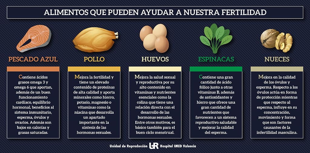 Alimentos Que Pueden Ayudar A Nuestra Fertilidad