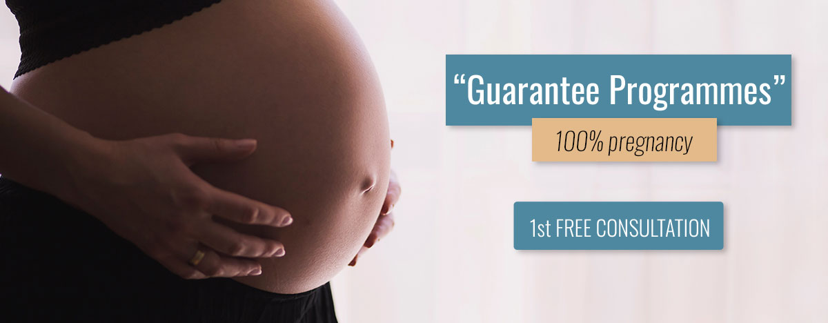 Guarantee Programmes Or Refunding Ur Imed Valencia Assisted Reproduction Clinic